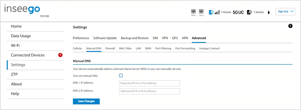 Manual DNS Tab | Inseego